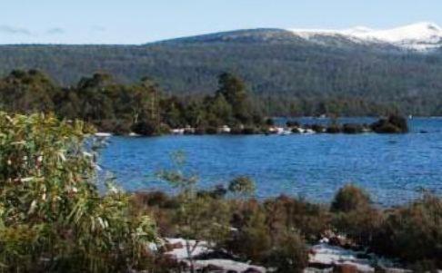 Derwent Bridge Chalets & Studios Luaran gambar